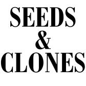 Seeds & Clones logo